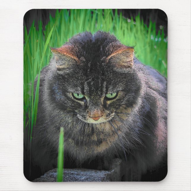 Fokussierte Katze oder Ihr Foto Mousepad (Vorne)