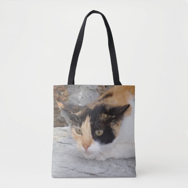 Fokussierter Katzenratzer Tasche (Vorderseite)