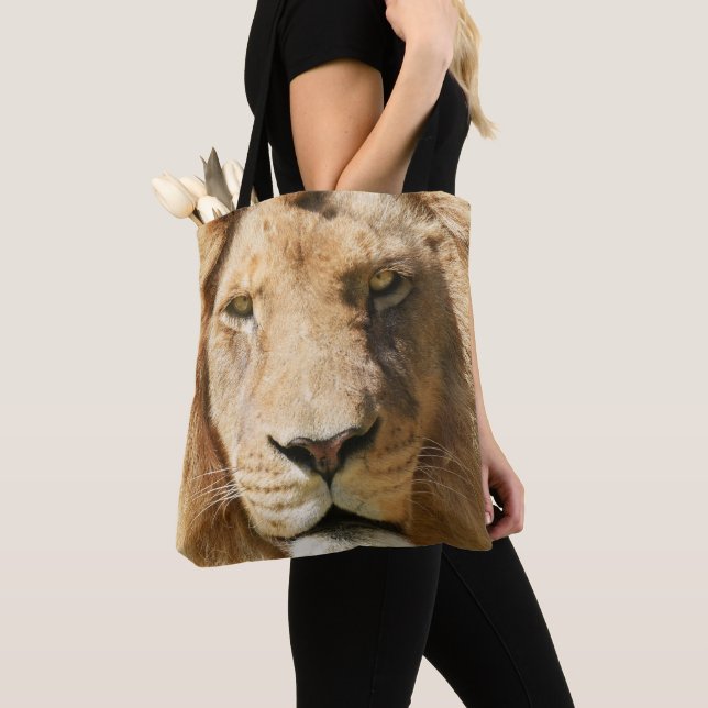 Fokussierter männlicher Löwe Tasche (Von Nahem)