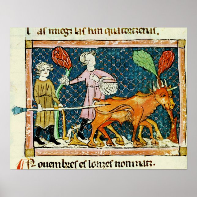Fol.59r Oktober: Pflügen Poster (Vorne)