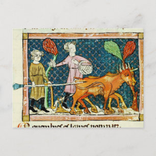 Fol.59r Oktober: Pflügen Postkarte