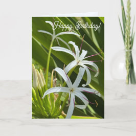 Folded Greeting Card Karte
