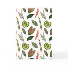 Folded Greeting Card