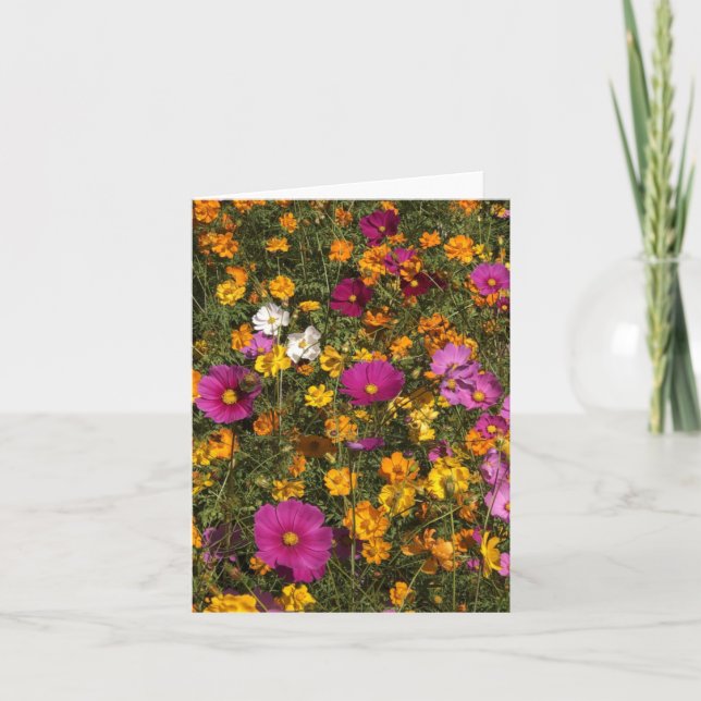 Folded greeting card with foto of flowers karte (Vorderseite)