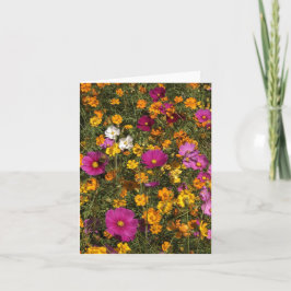 Folded greeting card with foto of flowers karte