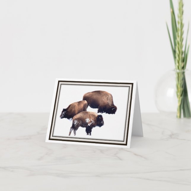 Folding Greeting Card - Bison in Winter Karte (Vorderseite)