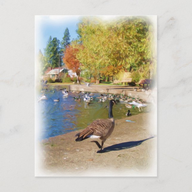 Folge mir postkarte (Vorderseite)