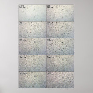 Folgediagramm der Zusammenhänge Poster