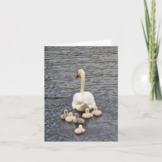 Folgen (Mute-Swan-Cygnets #4) - Blank-Notiz-Karte Karte (Vorderseite)