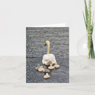 Folgen (Mute-Swan-Cygnets #4) - Blank-Notiz-Karte Karte