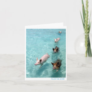 Folgen Sie dem Führer Karte