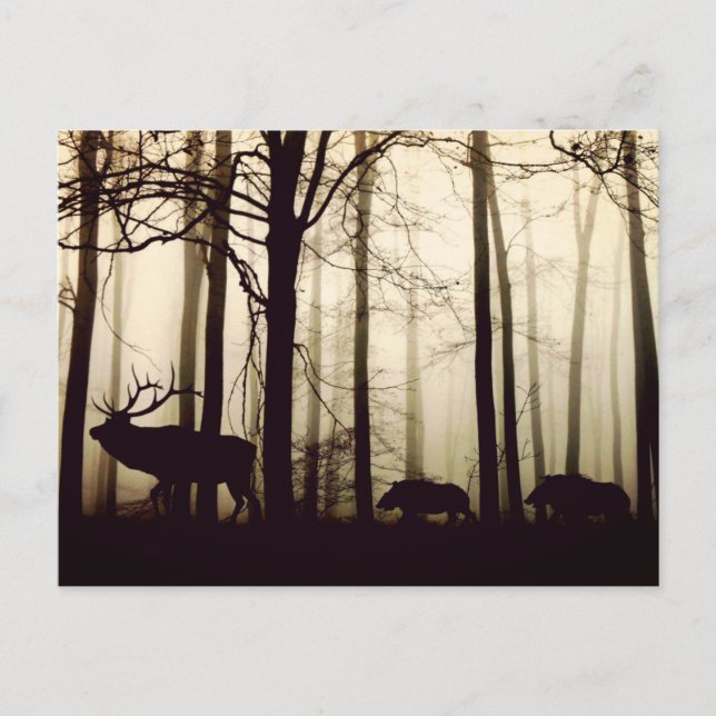 Folgen Sie dem Führer Postkarte (Vorderseite)