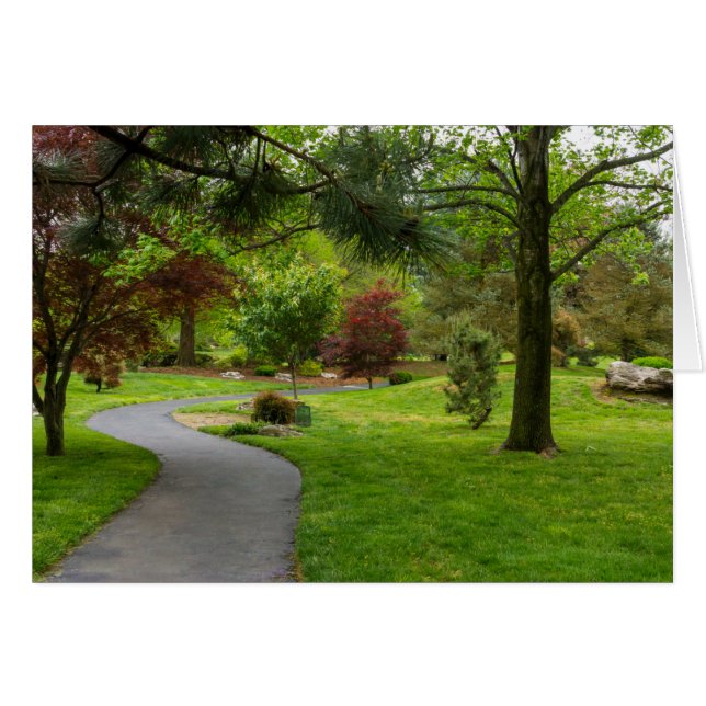 Folgen Sie dem Pano-Pfad (Vorderseite (Horizontal))