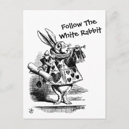 Folgen Sie der weißen Rabbit CC0257 Postkarte