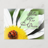 Folgen Sie Ihren Träumen Ladybug Post Card