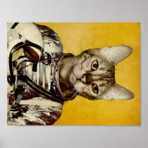 Folgen Sie Ihren Träumen Poster