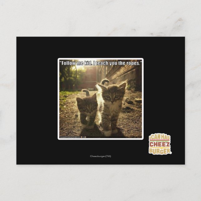 Folgen Sie mir Kid Postkarte (Vorderseite)