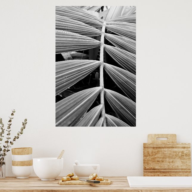 folha de palmeira poster (Küche)