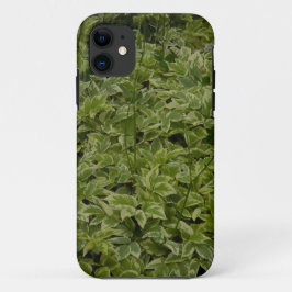 Foliage Case-Mate iPhone Hülle
