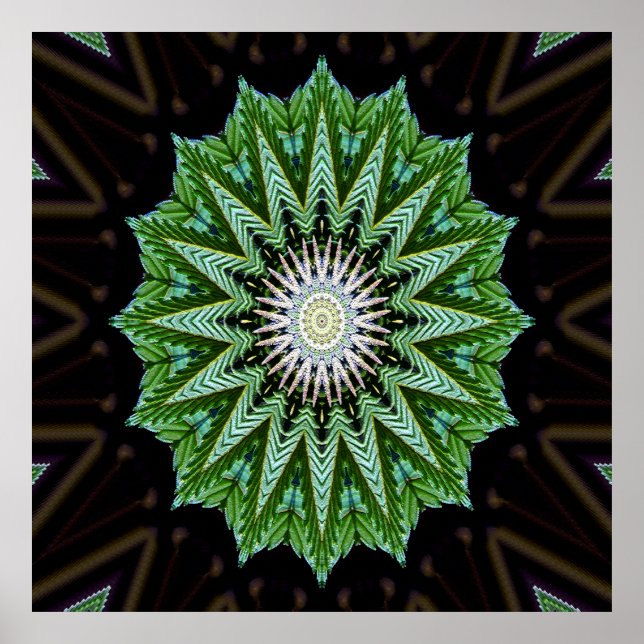 Foliage Mandala....... Poster (Vorne)