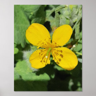 FOLIENDRUCKPOSTER ART UND DESIGN FOLIENDRUCKE