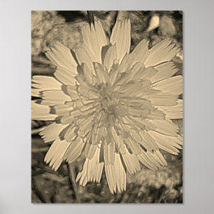 FOLIENDRUCKPOSTER ART UND DESIGN FOLIENDRUCKE