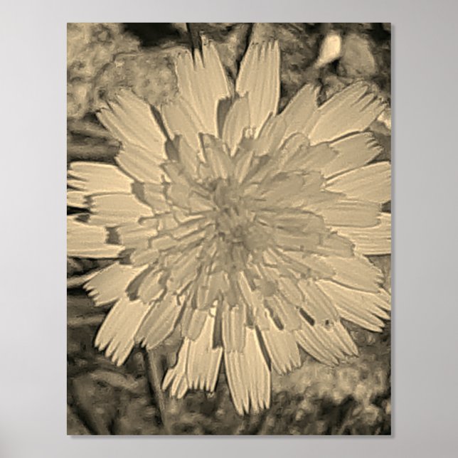 FOLIENDRUCKPOSTER ART UND DESIGN FOLIENDRUCKE (Vorderseite)