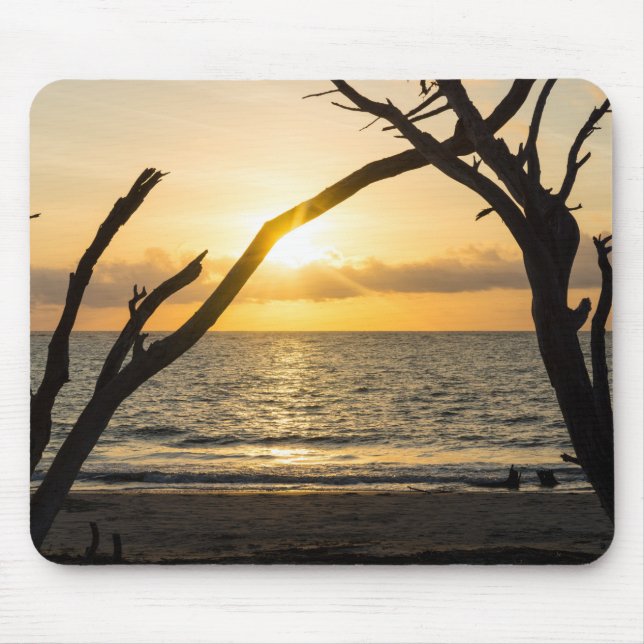 Folly Sunrise Tree Silhouette Mousepad (Vorne)