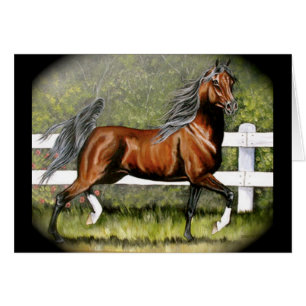 Fonctionnement Arabe de cheval de baie