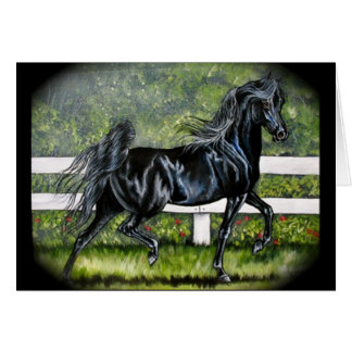 Fonctionnement Arabe noir de cheval