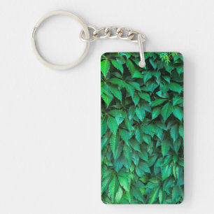 fond de haie verte parthenocissus motif texte