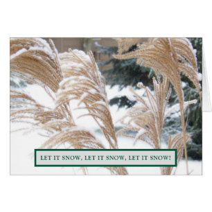 FOND PENSÉES DE VOUS CETTE SAISON DE VACANCES/ NEI