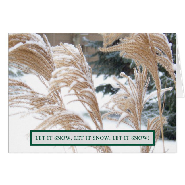 FOND THOUGHTS VON IHNEN DIESE FERIENSAISON/ SCHNEE (Vorderseite (Horizontal))