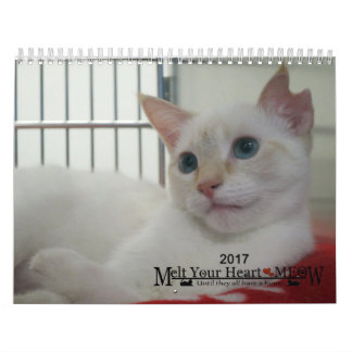 Fondez votre coeur - le calendrier 2017 de chaton