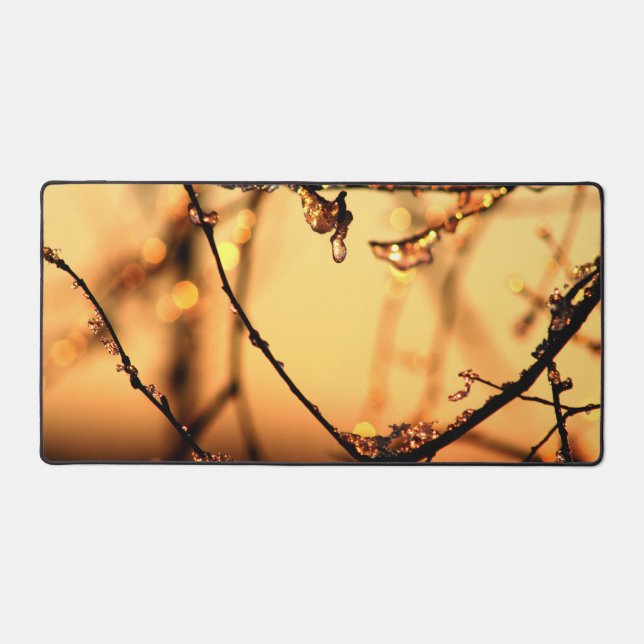 Fondre Dawn Spring Branches Matin Sunrise Photo (Recto)