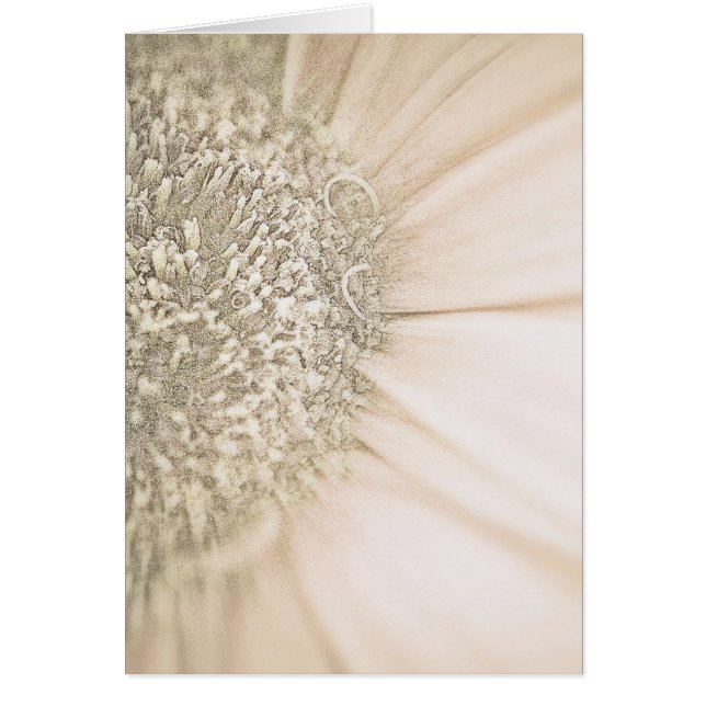 Fondu vers l'or (Devant)