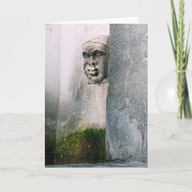 Fontaine de Vérone - Carte de voeux intérieure bla (Devant)