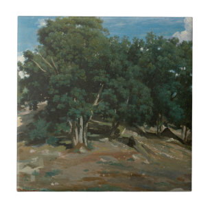 Fontainebleau-Eichen Fliese