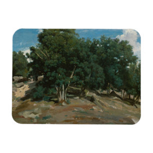 Fontainebleau-Eichen Magnet