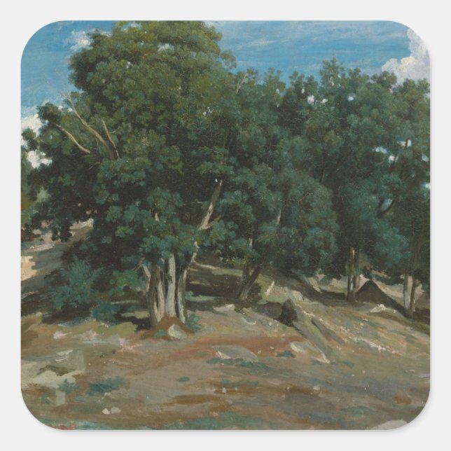 Fontainebleau Oak Trees Quadratischer Aufkleber (Vorderseite)