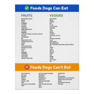 Foods Hunde können und können kein großes Poster e