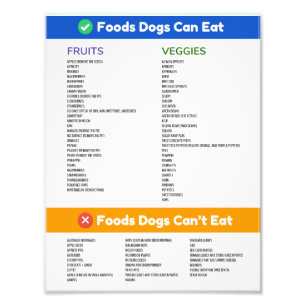 Foods Hunde können und können kein Plakat Fotodruck
