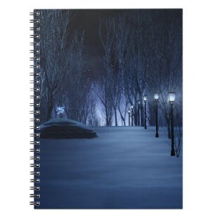 Fool's Light Notebook Notizblock
