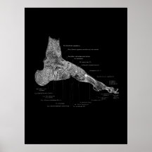 Foot Anatomy Podiatrist Geschenk medizinische Wand