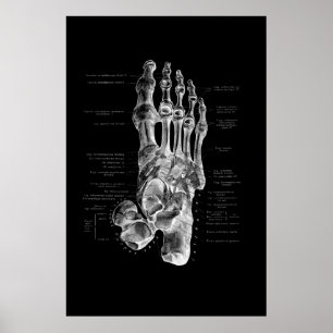Foot Anatomy Podiatrist Medizinische Wanddekoratio Poster