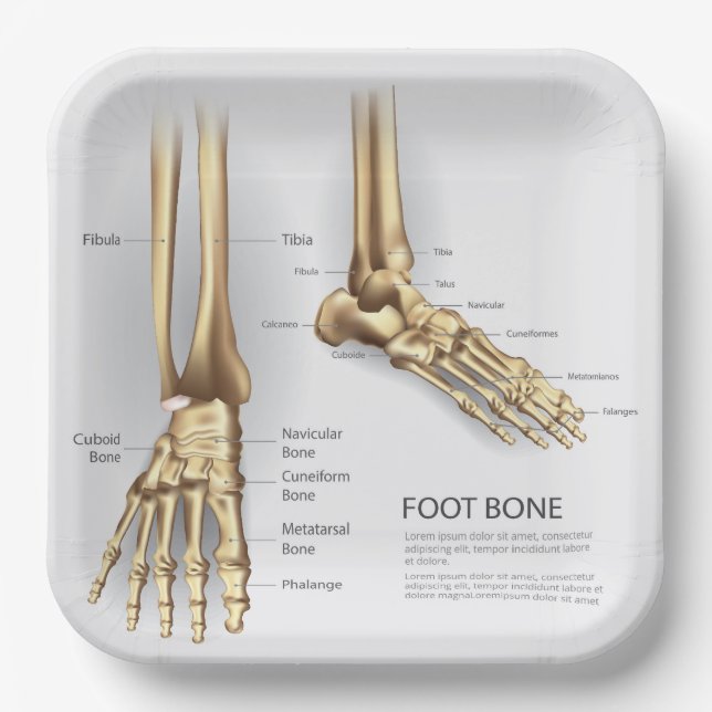 Foot Bone Pappteller (Vorderseite)