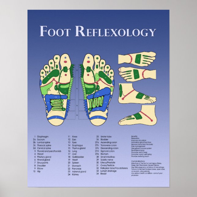 Foot Reflexology chart - Blue Poster (Vorne)