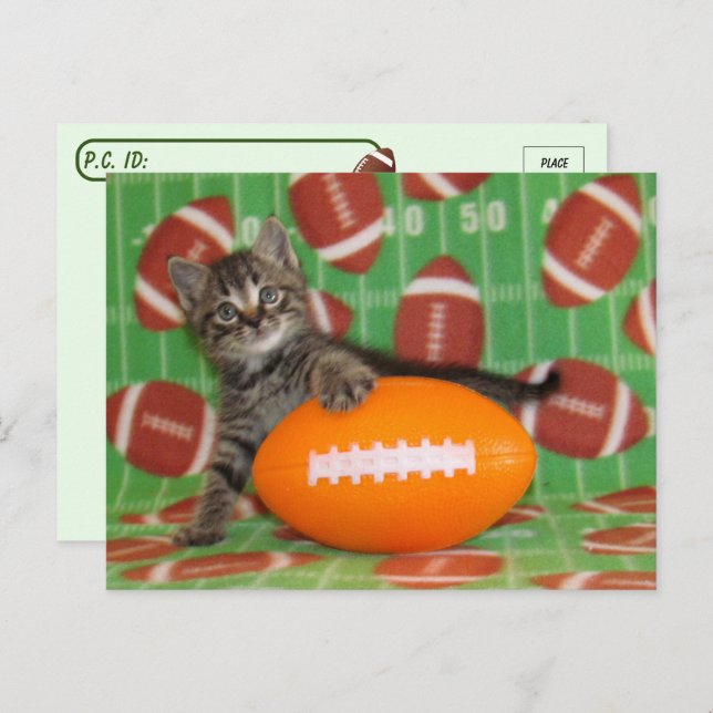 Football - Carte postale Chat (Devant / Derrière)