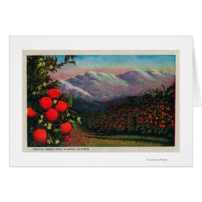 Foothill Orange Grove im WinterState (Vorderseite (Horizontal))