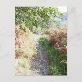 Footpath Coniston England Card Postkarte